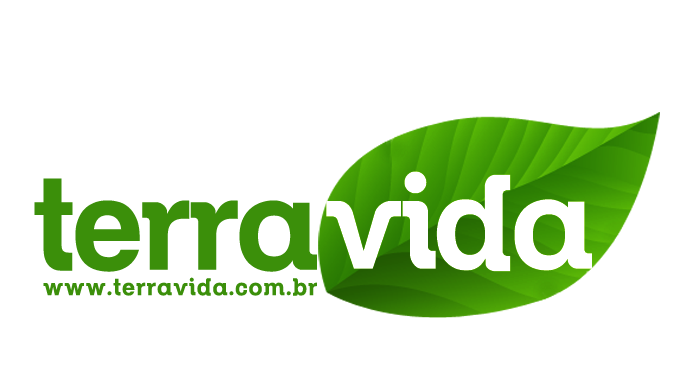 E-commerce fatura 279% a mais ao triplicar suas vendas com estratégia digital 360º